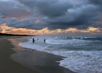 Shark fishing banned on beaches